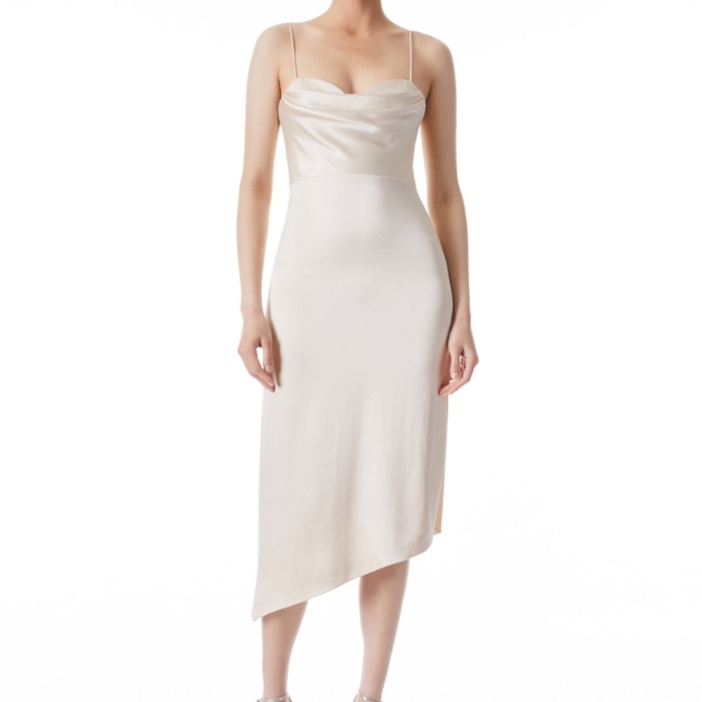 Alice + Olivia Kiyoko Dress - Picture 4 of 12